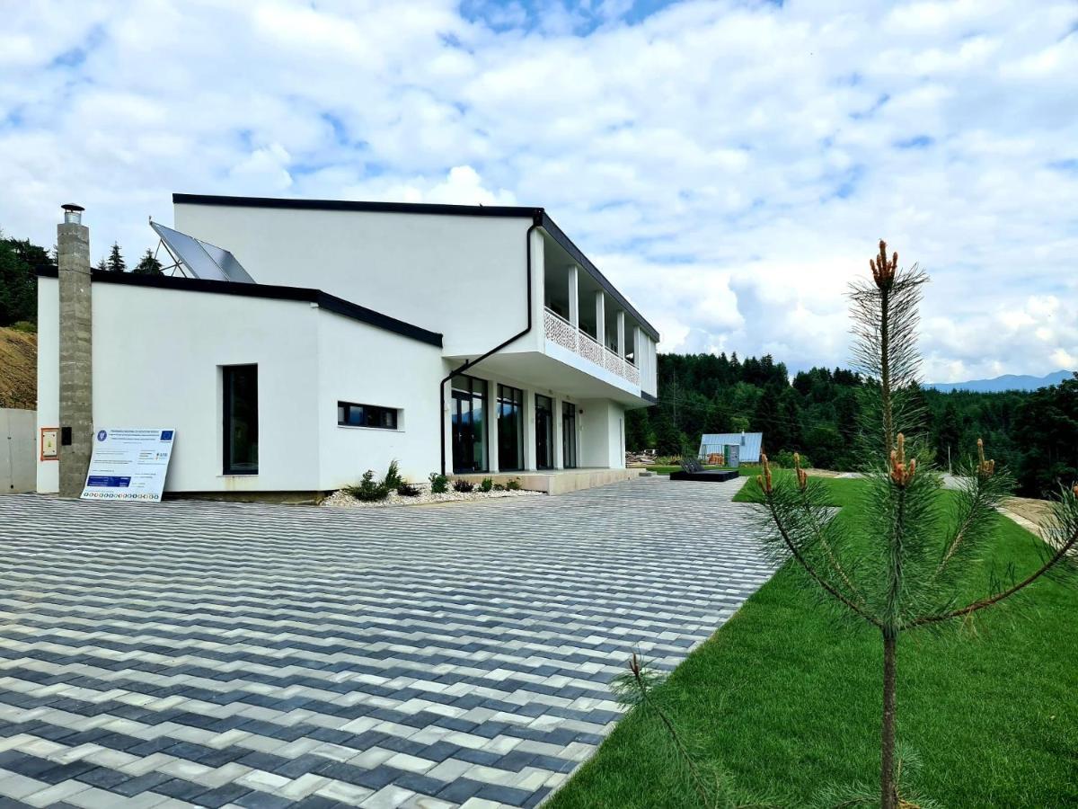 Pensiunea Ddc Colibiţa Extérieur photo